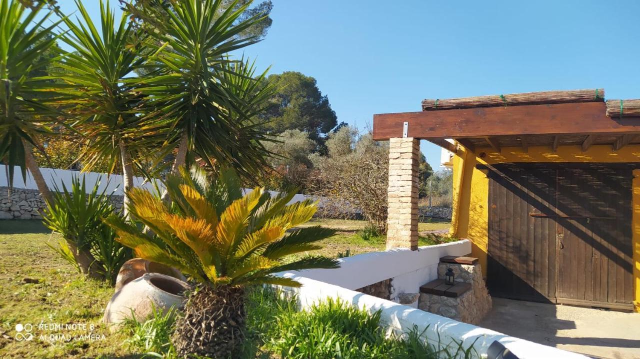 Casa Con Vistas, Piscina Y Animales De Granja, La Caseta Таррагона Экстерьер фото