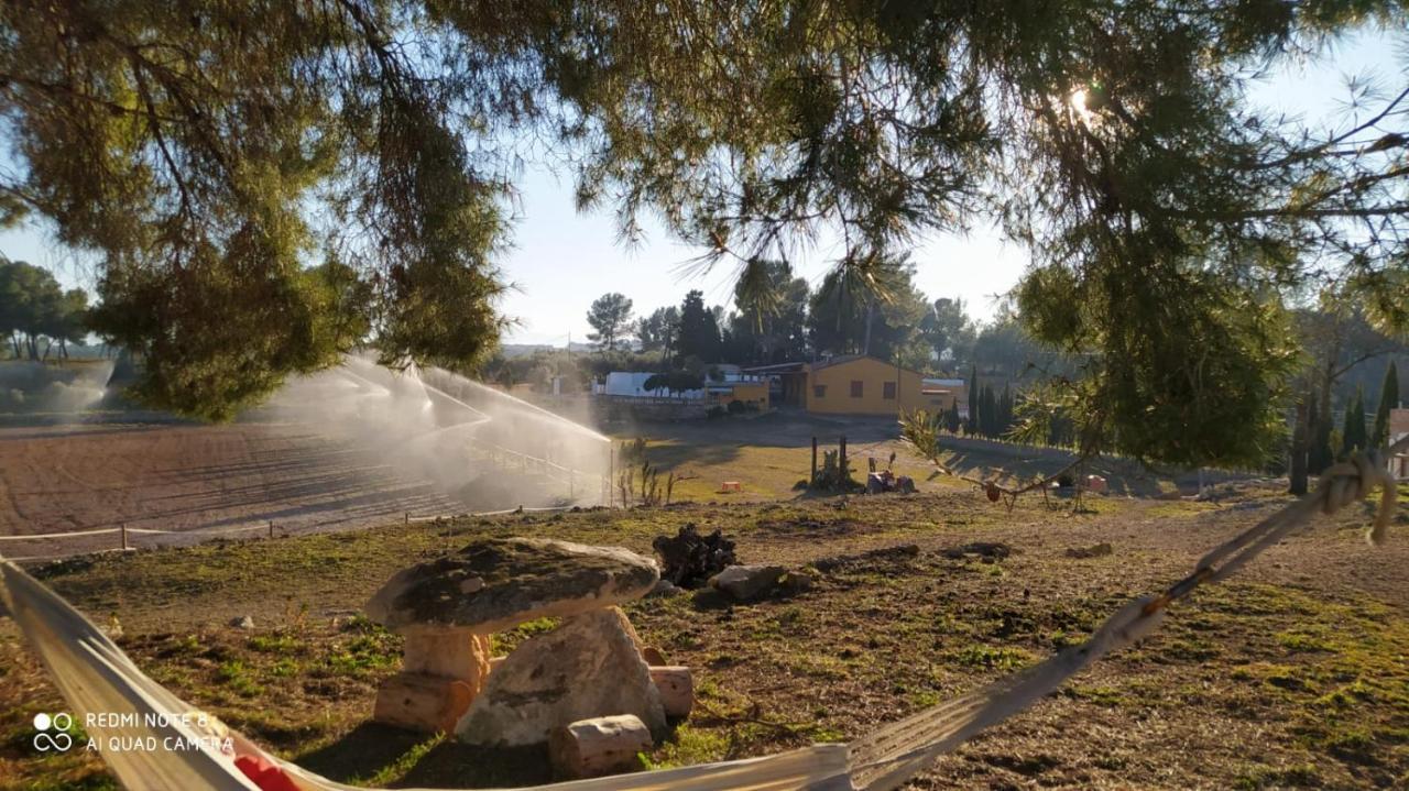 Casa Con Vistas, Piscina Y Animales De Granja, La Caseta Таррагона Экстерьер фото
